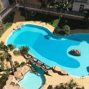 Apartamento de 3 Dormitorios